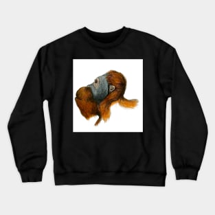 Orangutan Crewneck Sweatshirt